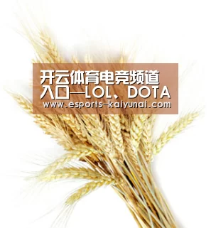 开云体育电竞频道入口—LOL、DOTA电竞赛事实时聚焦-kaiyunsport