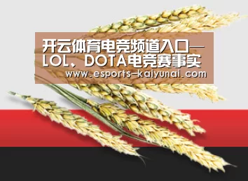 开云体育电竞频道入口—LOL、DOTA电竞赛事实时聚焦-kaiyunsport