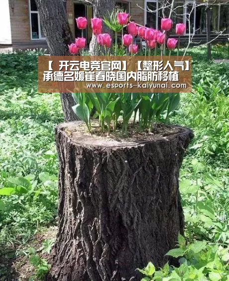  开云电竞平台