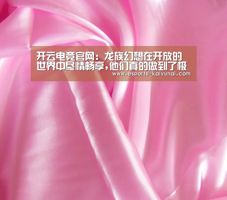 开云电竞官网:龙族幻想在开放的世界中尽情畅享,他们真的做到了极致!(图1) 开云电竞平台