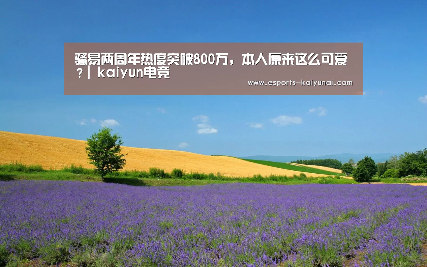  kaiyun电竞