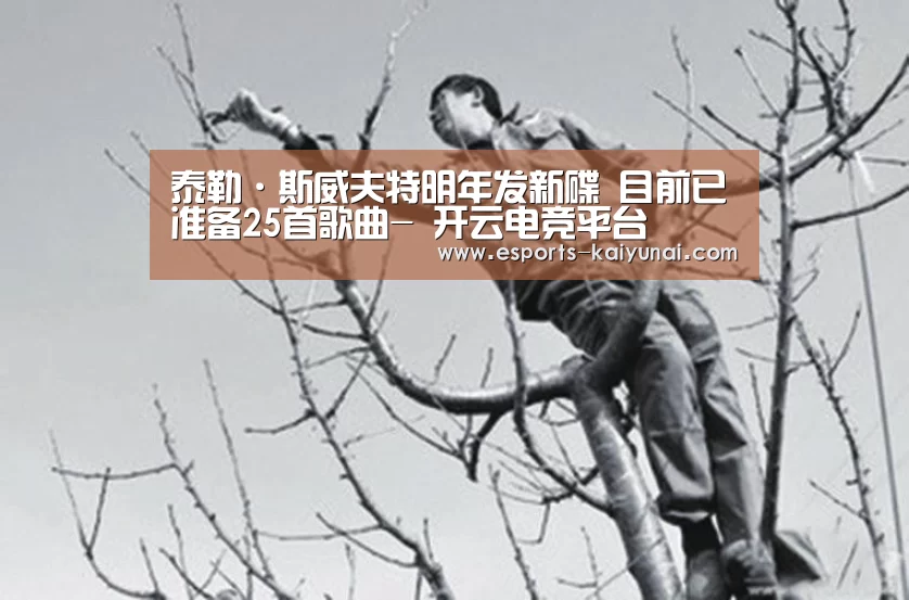 泰勒·斯威夫特明年发新碟 目前已准备25首歌曲- 开云电竞平台(图2) kaiyun电竞