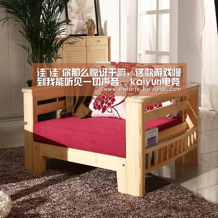 洼~洼~你那么惊讶干嘛,这款游戏慢到我能听见一切声音- kaiyun电竞(图1) 开云电竞平台