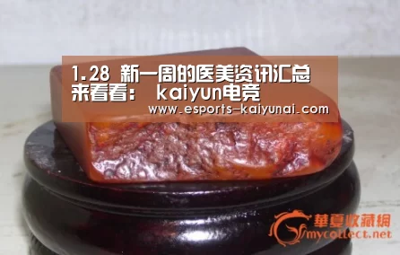  开云电竞官网